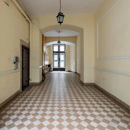 D.five Aranykez * Budapest